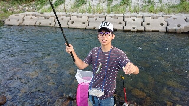 小鮎釣り と ノチ友釣り 愛知川 8 15 8 23 釣りにつられて