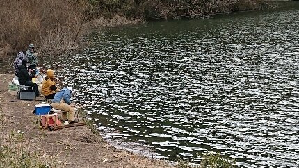 ワカサギ釣り と 布目ダム21 01 30と01 31 釣りにつられて