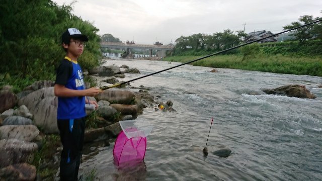 小鮎釣り 犬上川19 08 31 釣りにつられて 小鮎釣り 犬上川19 08 31 釣りにつられて