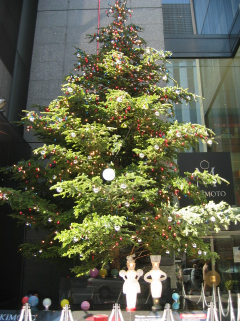 クリスマスツリー 銀座ミキモト 資格ゲッターが行く