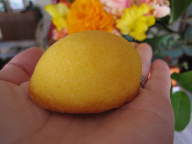 埼玉ナンバー１ロールケーキを探せ トランティアン編 トランティアン 本庄市 資格ゲッターが行く