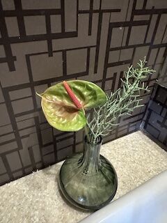 ���̽�̾�
