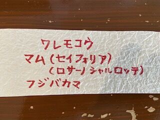 ¥Í¡¼¥à¡Ê½Ì¾®¡Ë