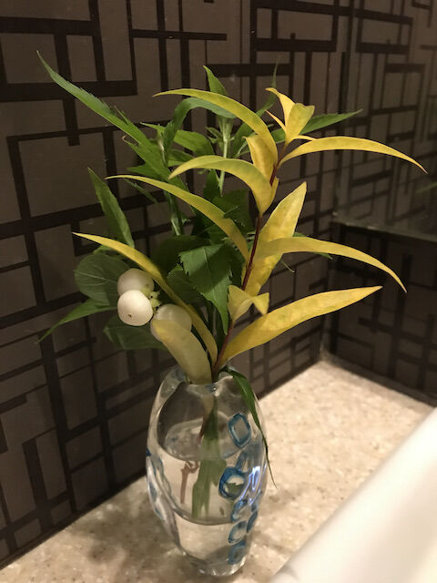 洗面所(ブログ用)