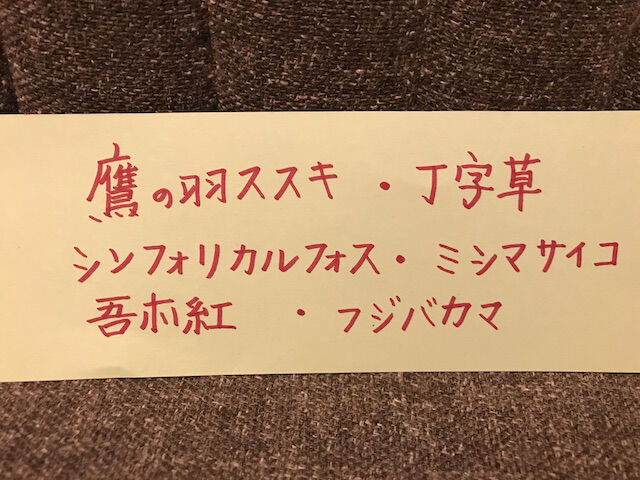 ネーム(ブログ用)