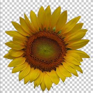 Pyside2を使ったカスタムｕｉについて その3 3dsmax 19 Zで行こう