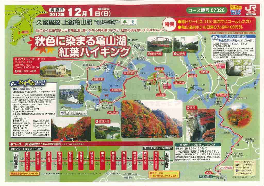 駅からハイキング 亀山湖紅葉ハイキング 東大千葉演習林 タケチャンのblog