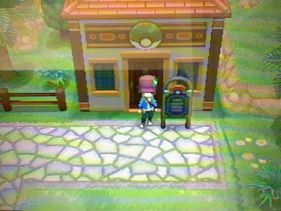 ポケットモンスターx Y プレイ日記10 フレンドサファリとバトルシャトレーヌ たけ坊日記 Fgoやってます