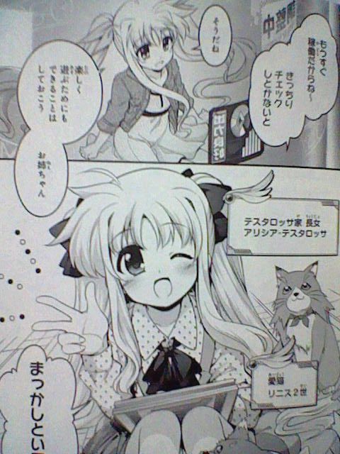 魔法少女リリカルなのは Innocent 第1巻 感想 この出会いがすべての始まり 純粋な思いで駆け抜けた少女たちの物語 たけ坊日記 Fgoやってます