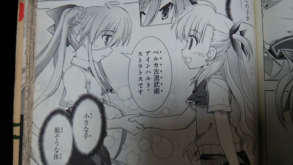 ヴィヴィオとアインハルト 魔法少女リリカルなのはvivid ヒーロー列伝 第51話 リリカルなのはvivid編 たけ坊日記 Fgoやってます