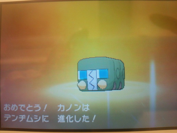 ポケモン サンムーン 感想その2 ケララッパ イワンコ ドロバンコ マケンカニ 等 ゲット たけ坊日記 Fgoやってます ポケモン サンムーン 感想その2 ケララッパ イワンコ ドロバンコ マケンカニ 等 ゲット たけ坊日記 Fgoやってます