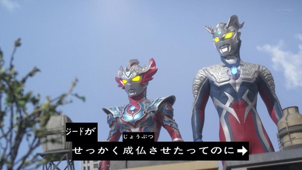 タイガ23-6