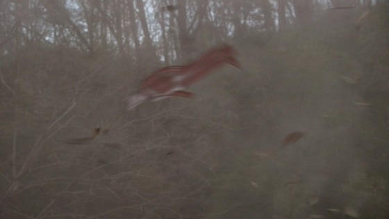 ギンガ　１－５