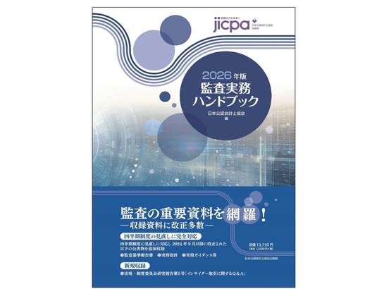 監査実務ハンドブック2024年版 91g-CuLIkEL._AC_UF350,