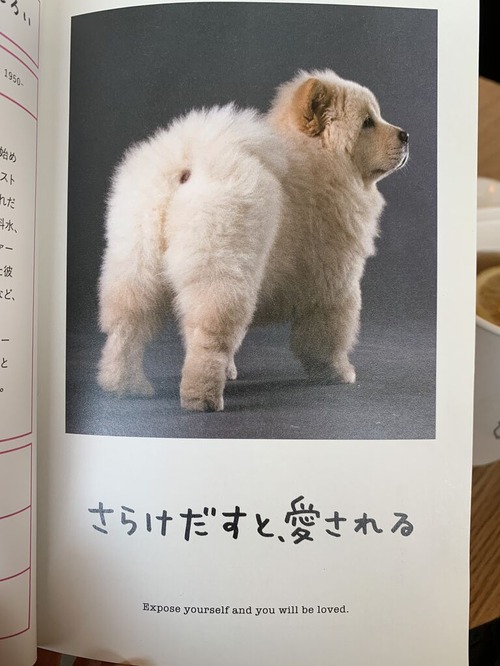 ���餱�Ф�