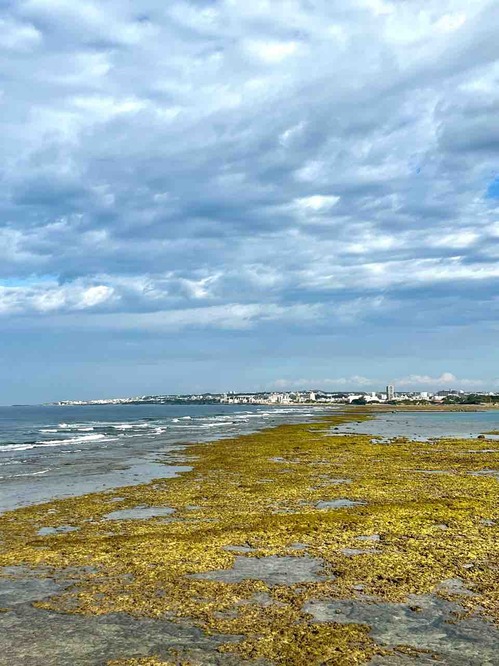 okinawa