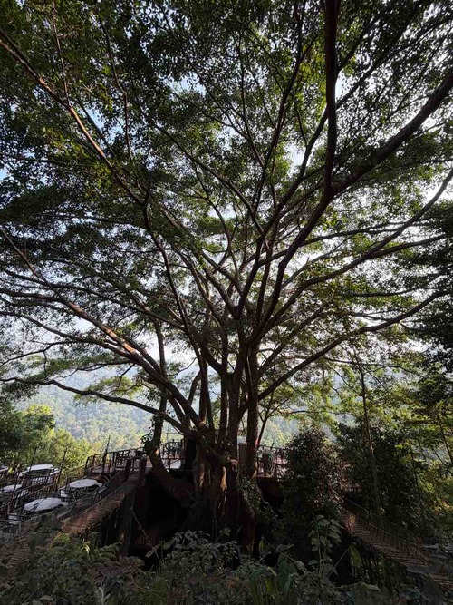 Mae Kampong Village