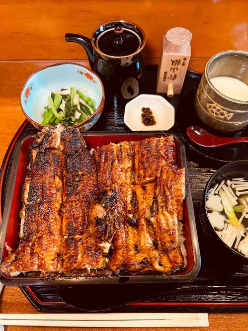 鰻