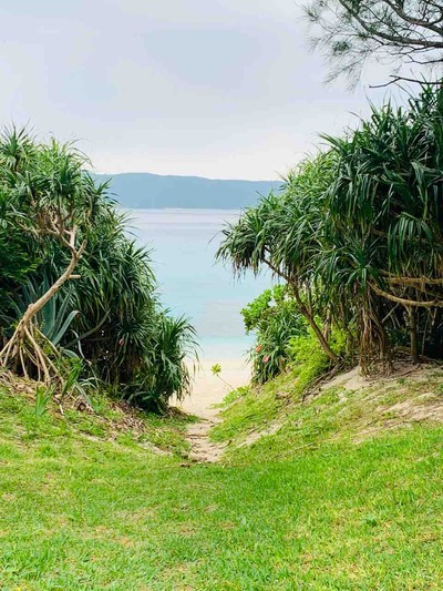 �´�̣��_�ź´�̣�ӡ���