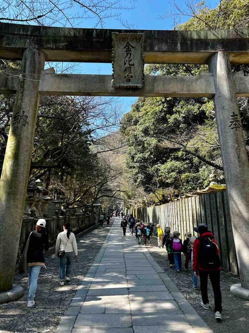 ����Ԥ餵��