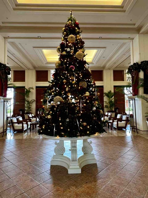 �֥��ʥƥ饹