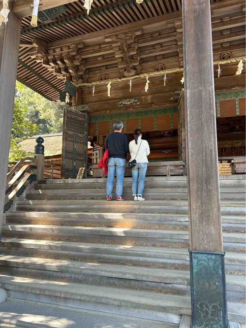 ����Ԥ餵��