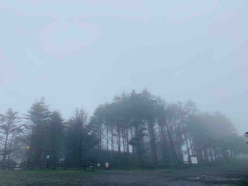 �ֻ�����