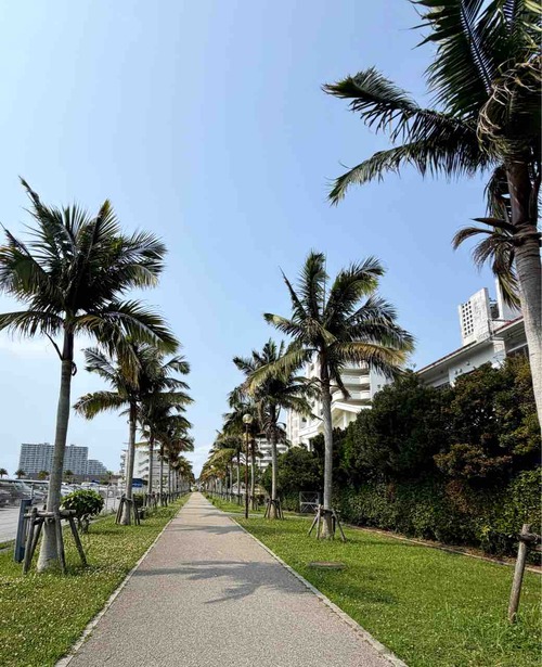 chatan
