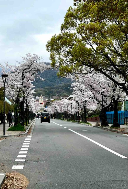 kwanseigakuin