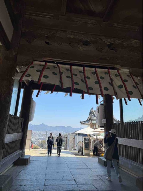����Ԥ餵��