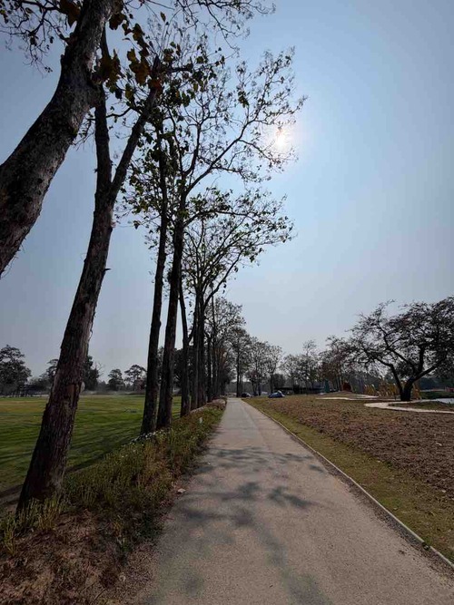 paopark