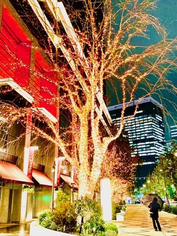 ����ɼ�Į�ƥ饹