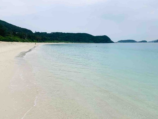 �´�̣��_�ź´�̣�ӡ���