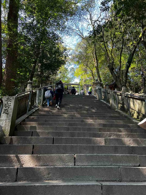 ����Ԥ餵��