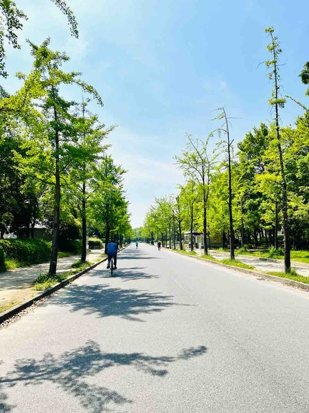 �������