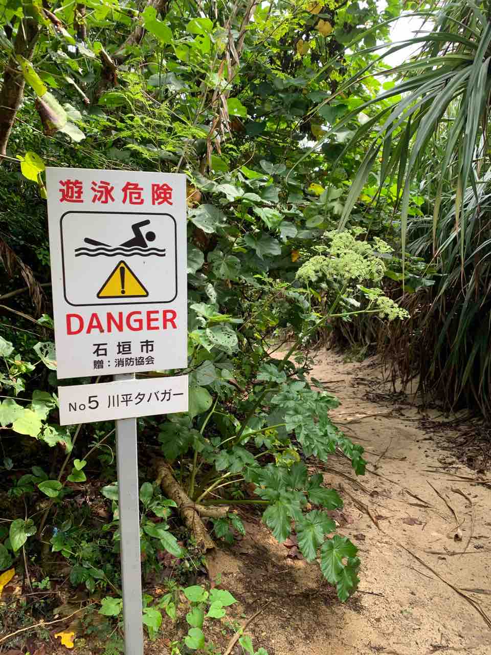 ぷらっと石垣島 Day2 石垣島ビーチ周り 公認会計士武田雄治のブログ