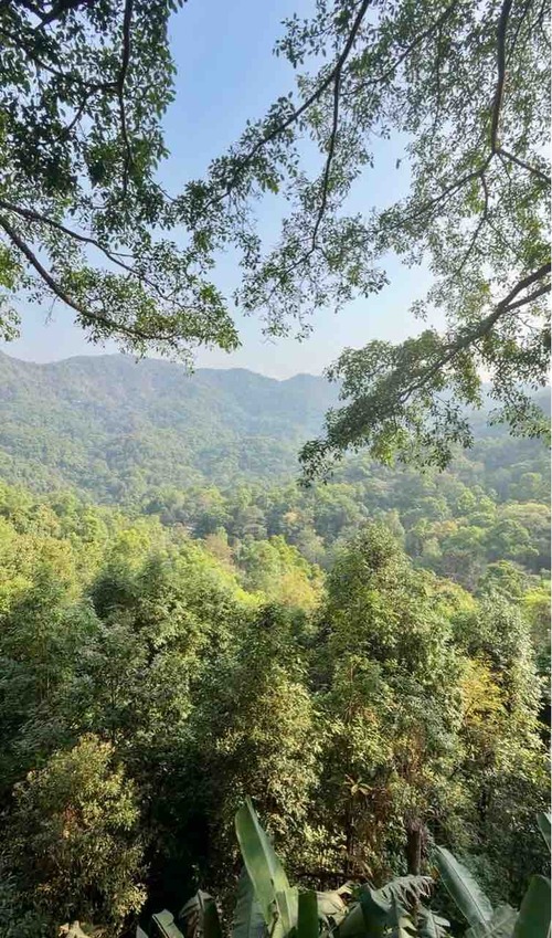 Mae Kampong Village