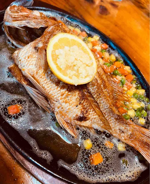 ÂçÌÚ³¤»ºÊª