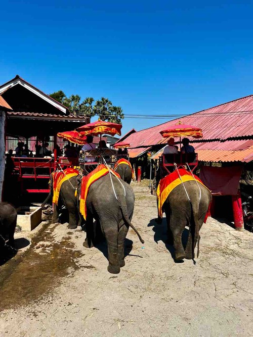 Ayutthaya