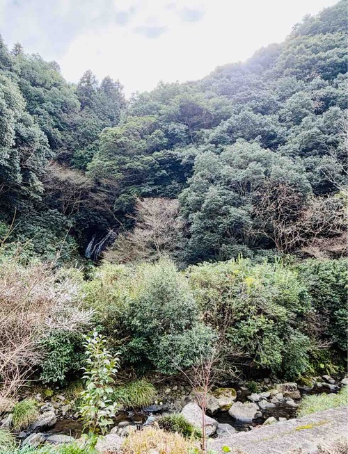 ���ջ���