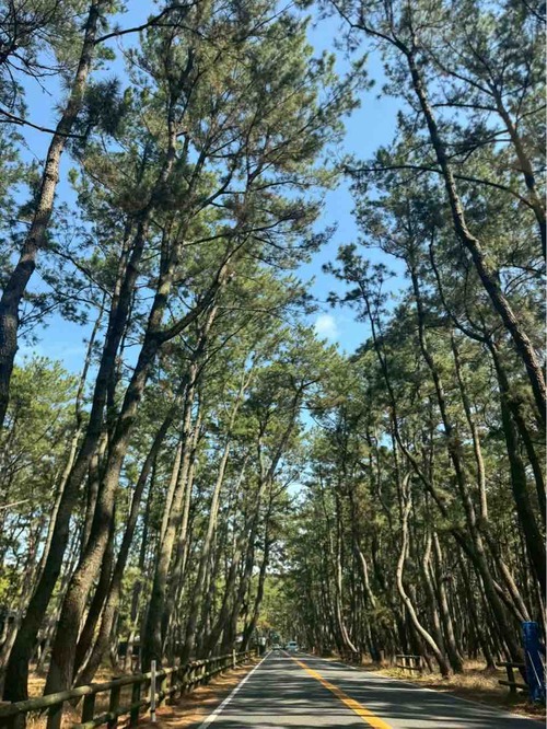 ���ξ���