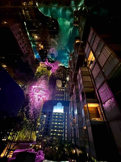 panpacificorchard