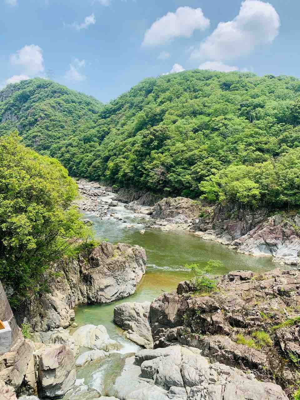 ぷらっと旧福知山線廃線敷ハイキングコースへ 公認会計士武田雄治のブログ