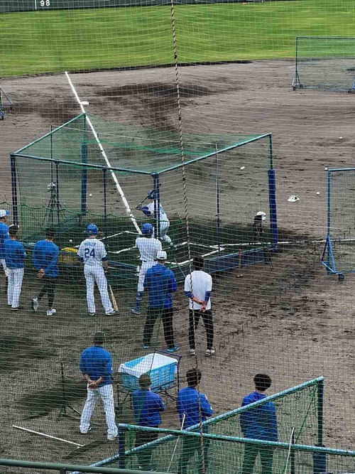 �����ɥ饴��