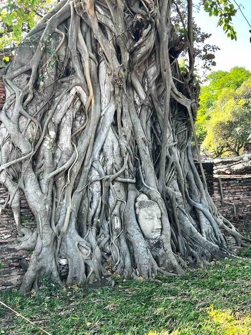 Ayutthaya