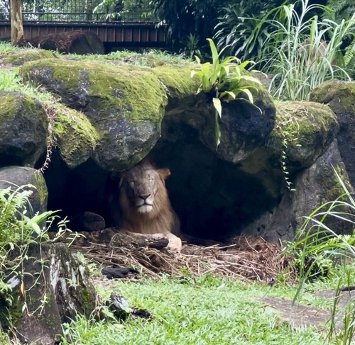 singaporezoo