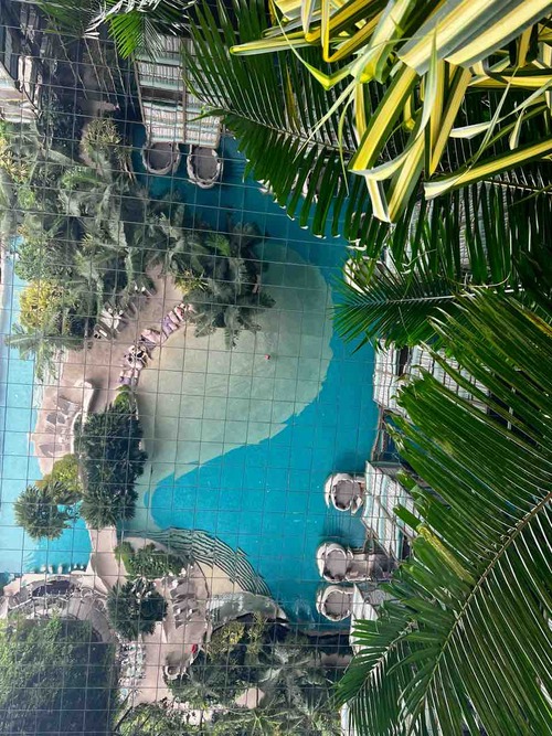 panpacificorchard