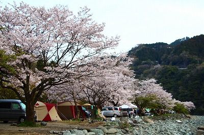 青野原オートキャンプ場でお花見キャンプの巻 キャンプ場とキャンプ道具を狭く深く語るブログ 略して セマフカ