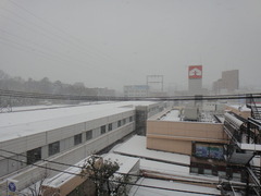 大雪２