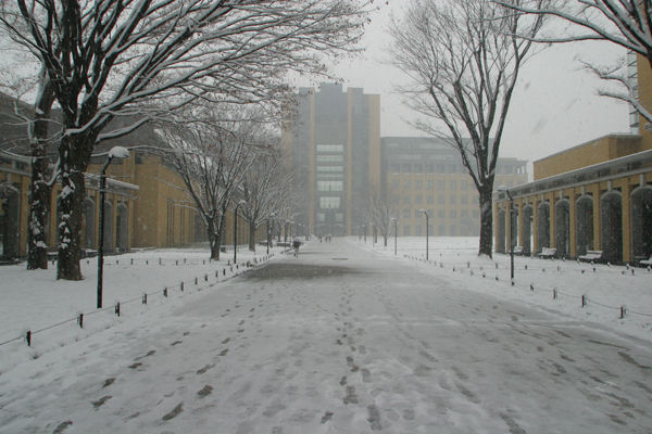 青山学院大学ってどういうところ 池袋 練馬 大学受験の個別指導塾 予備校 武田塾池袋校